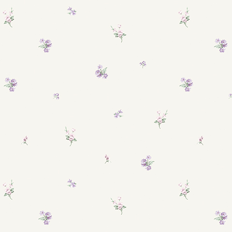 Изображение Andrea Rossi Nisida 54321-1