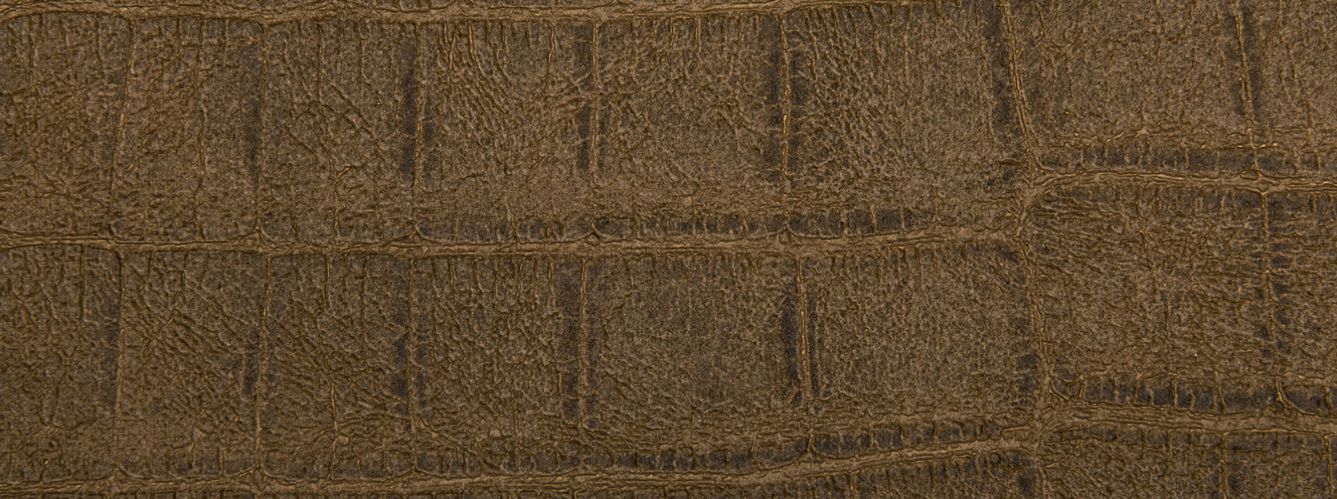 Изображение Rasch African Queen III 751314