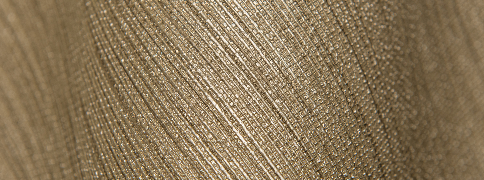 Изображение Rasch Curiosity 537703