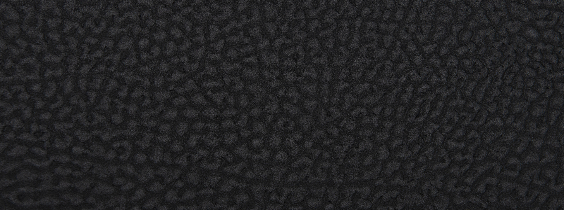 Изображение Rasch African Queen III 752656